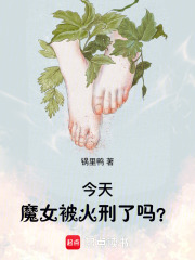 今天魔女被火刑了吗？章节列表