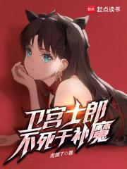 卫宫士郎正在挑战FGO章节列表