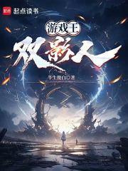 游戏王：双影人章节列表