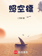 照空镖章节列表