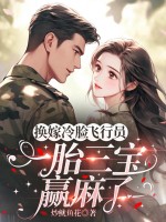 换嫁冷脸飞行员，一胎三宝赢麻了章节列表
