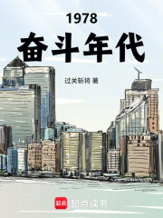 1978奋斗年代章节列表