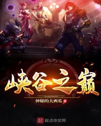 峡谷之巅章节列表