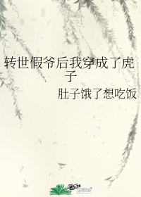转世假爷后我穿成了虎子章节列表
